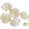 Dekorace Sola Goldstar 4 cm 6 ks