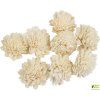 dekorace sola zinnia 4 cm 8 ks