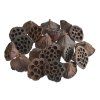 dekorace-lotos-stredni-5-8cm-20-ks
