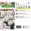limonka-chobotnata-statice--bila-0-2-g