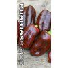 paprika sweet chocolate zeleninova 20 s
