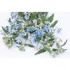 tvidie-havenly-blue-25s