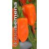 snacking orange f1 10 s