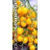 golden currant wild tomato 10 s