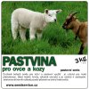 travni smes pastvina pro ovce a kozy