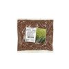 ŘEDKEV OLEJNÁ zelené hnojení 500 g, proti nádorovitosti košťálovin