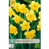 karta narcis carlton 5 cibuli