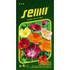 SLUNCOVKA KALIFORNSKÁ - směs 0.8 g