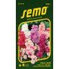 FIALA LETNÍ -  směs 0.5 g