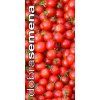 rajce-tyckove-wild-tomato-15-s--divoke-rajce-